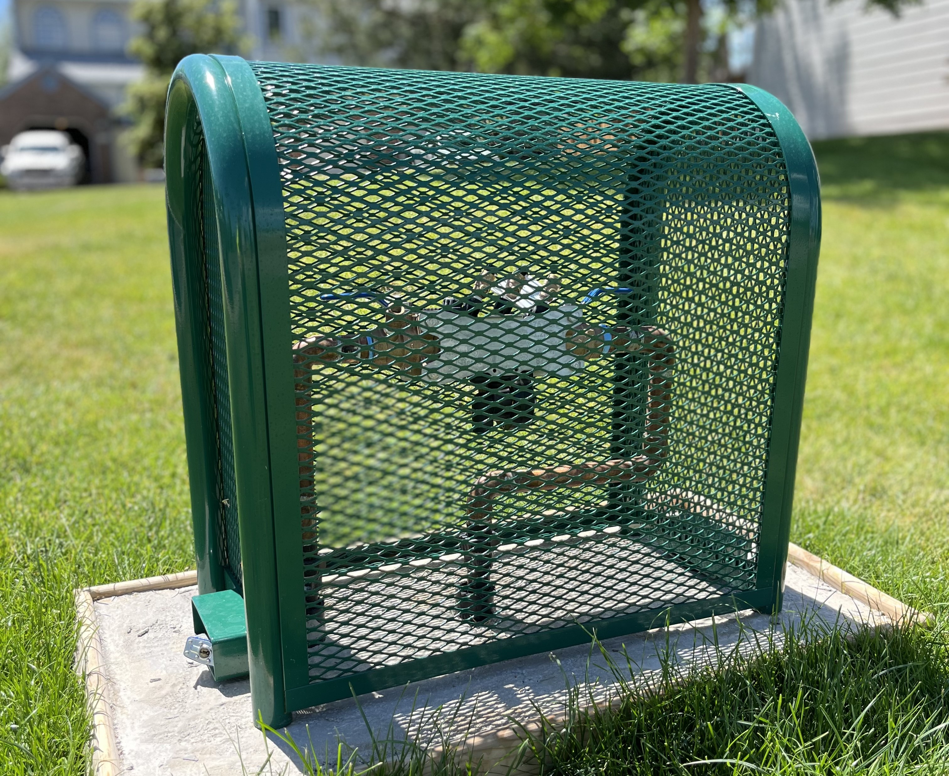 backflow in a cage