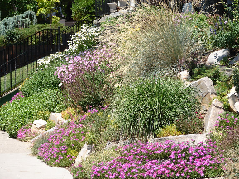 garden_in_a_box_2021.jpg
