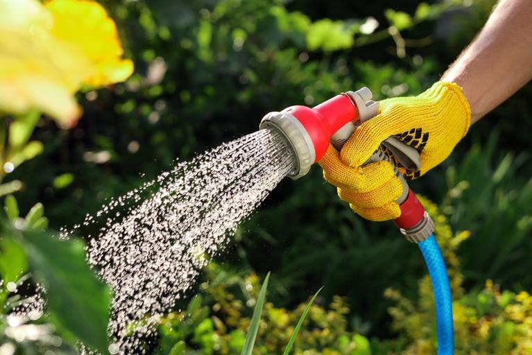 Someone watering a garden by hand. 