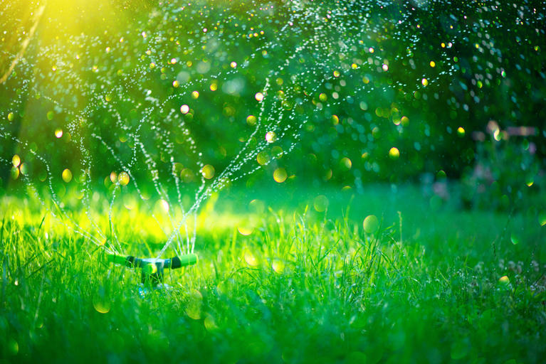Sprinkler watering grass. 